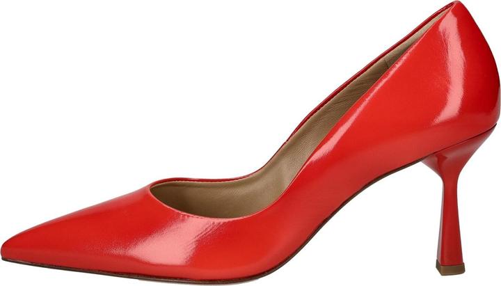 Produktbild Högl Pumps (39)