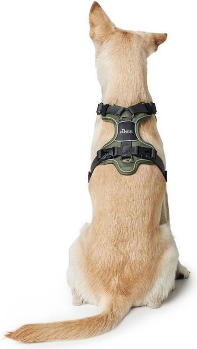 Produktbild Hunter Divo (S, Hund, Allgemein)