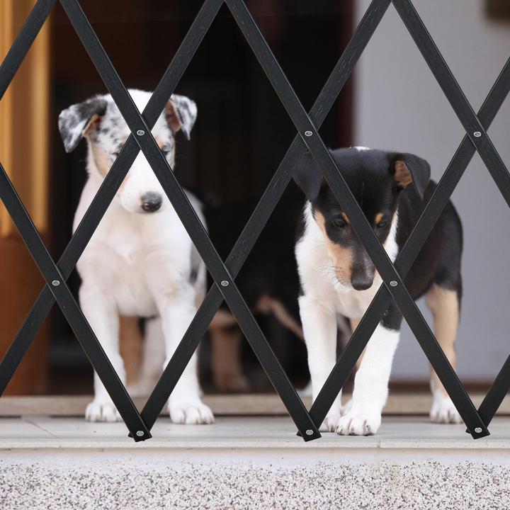Image du produit Relaxdays Barrière pour chiens (3 cm)