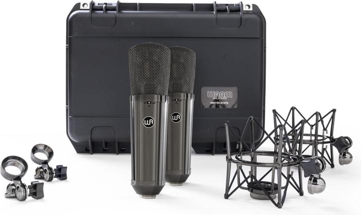 Warm Audio WA-87 R2 TS - Limited Edition Titanium Stereo Pair
