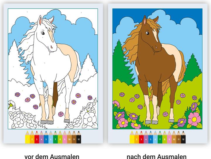 Produktbild Ravensburger CreArt Malen nach Zahlen ab 5: Pferde
