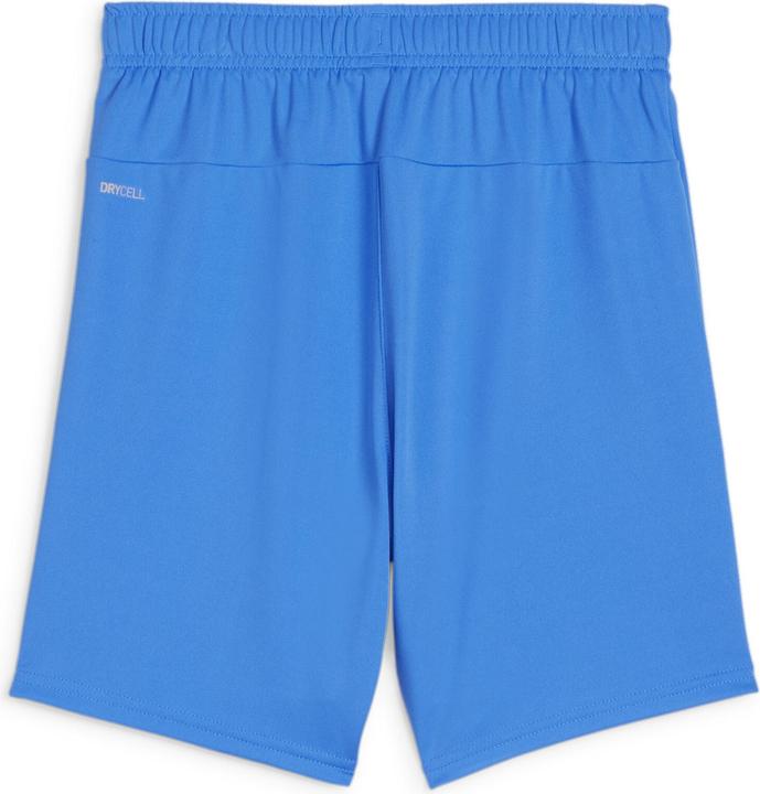 Actual product image Puma teamGOAL Shorts Jr (128)