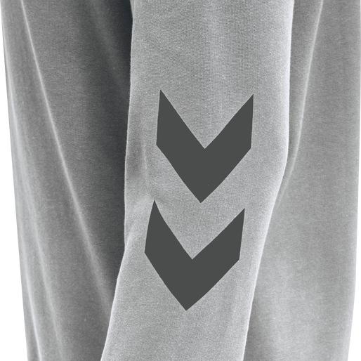 Actual product image hummel Legacy Zip Hoodie (M)