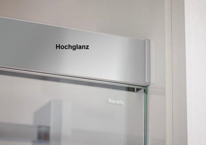 Actual product image Koralle S600Plus sliding door with partition on entrance side DSTD2 140 R, partition right, 1400mm (102.50 cm, 208.80 cm, 37.80 cm)