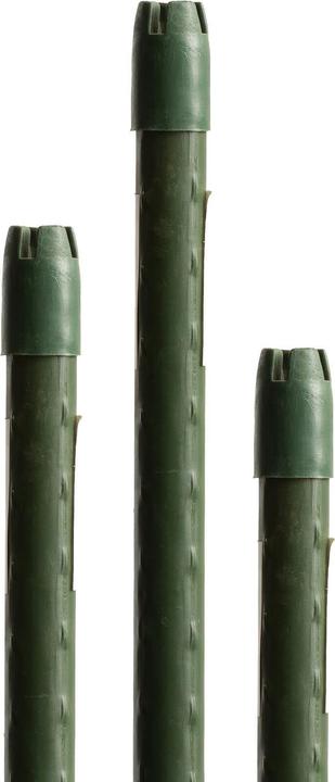 Image du produit Miogarden Tige pour plantes 210 cm (1.50 cm, 215 cm)