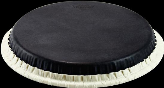 Image du produit Remo Peau de bongo (bongos)