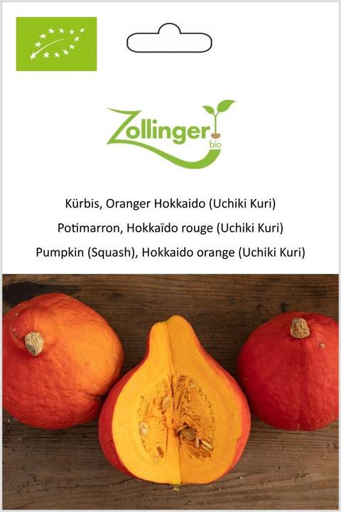 Produktbild Zollinger Bio Kürbis, Oranger Hokkaido (Uchiki Kuri) (Keimlinge)