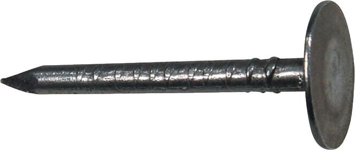 BRW Chiodi di feltro per tetti in bianco 2,5 x 20 mm Confezione da 2,0 kg (2000 Pezzo/i, 20 mm)