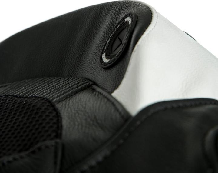 Produktbild Dainese Lederkombi perf. 1-tlg. LAGUNA SECA 5 K/L (Herren, 98)
