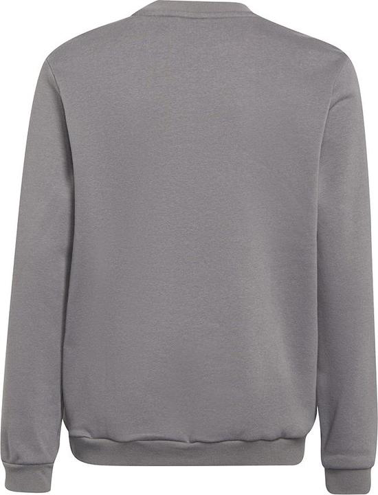 Produktbild adidas Entrada 22 Sweatshirt Kinder (164)