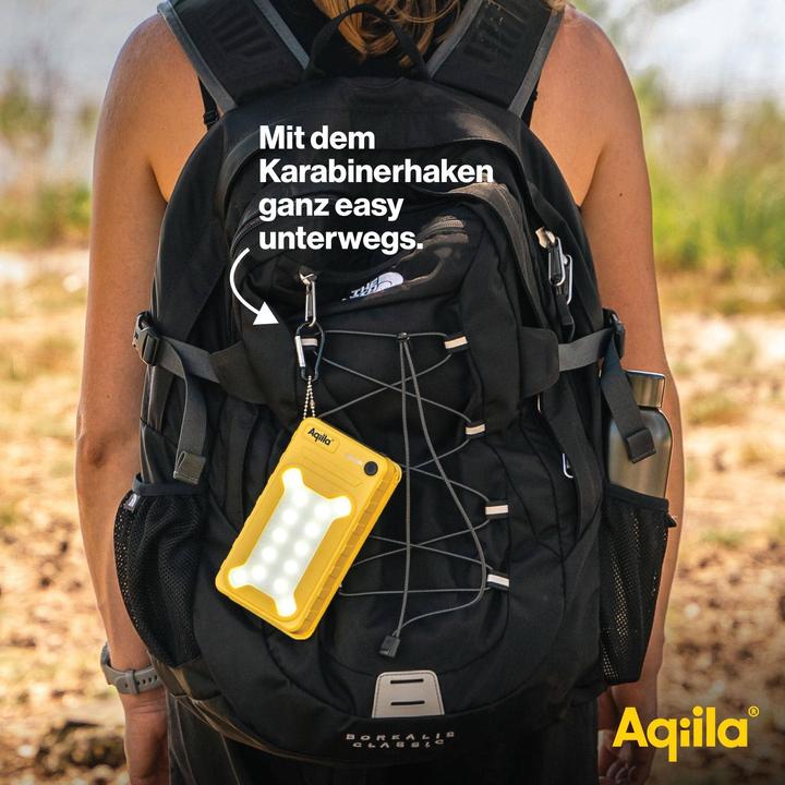 Immagine prodotto Aqiila Powerbird BS10 - powerbank solare da 10000 mAh (10000 mAh, 20 W, 37 Wh)