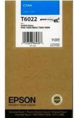 Actual product image Epson T6022 (C)
