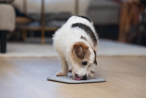 Produktbild Karlie Leckmatte Ava (Snackbeutel Hund)