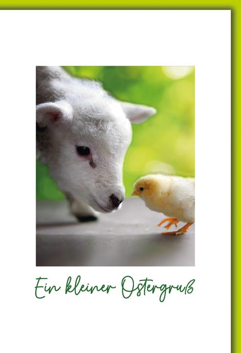 Produktbild Braun + Company Karte Ostern PK 279