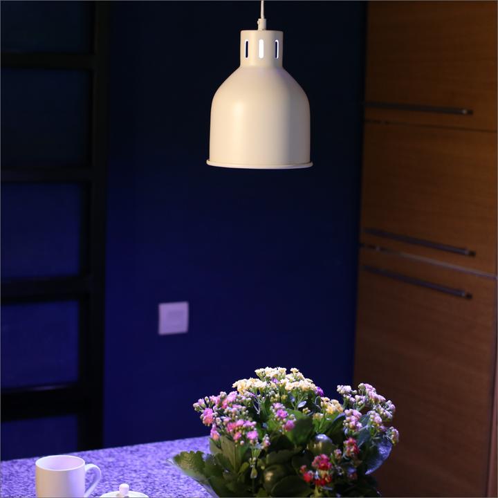 Produktbild Venso Saga (LED, 230 V)