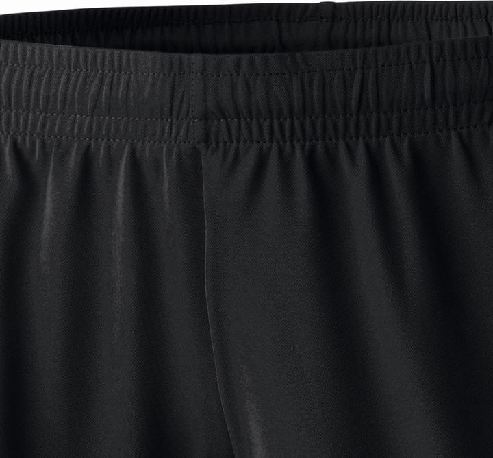 Actual product image Erima Classic 5-C Shorts (48)