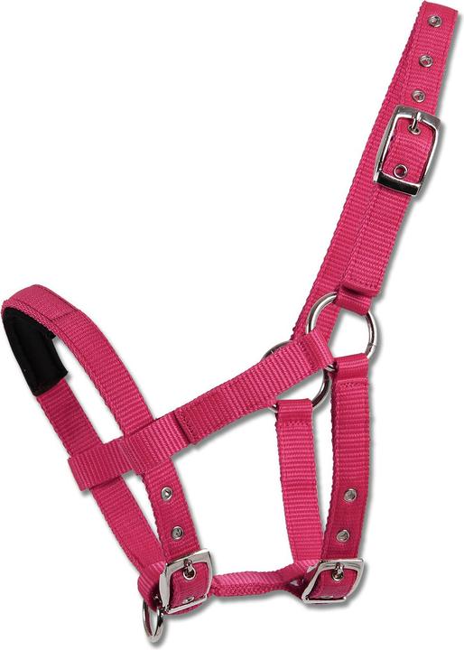 Produktbild Waldhausen Halfter für Mini-Shetlandpony