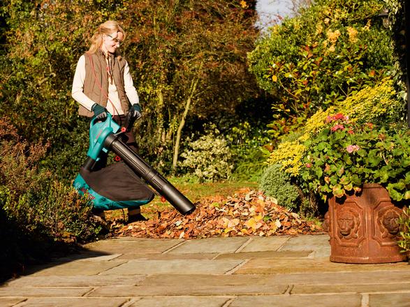 Actual product image Bosch Home & Garden ALS 25 EU version (Electrical connection, Leaf vacuums)