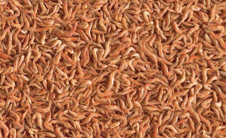 Immagine prodotto Tetra Gamberetti ReptoDelica 1 litro (1 x, 0.23 kg)