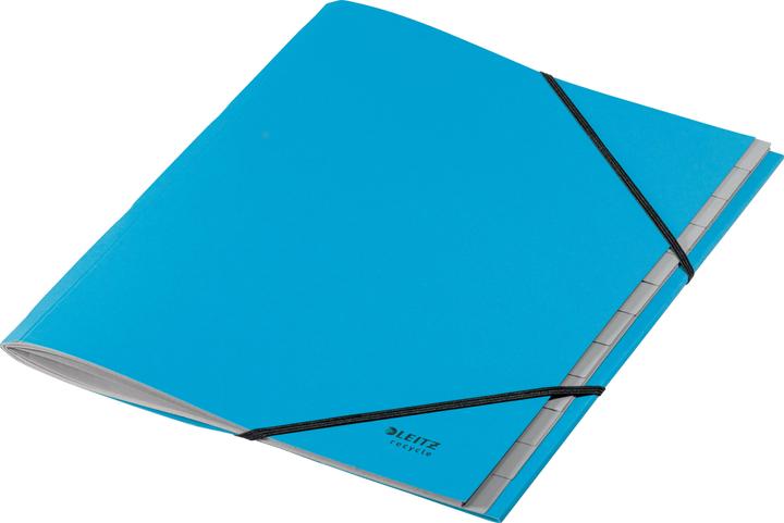 Actual product image Leitz Recycle A4 Folder Blue (A4, 1 x)