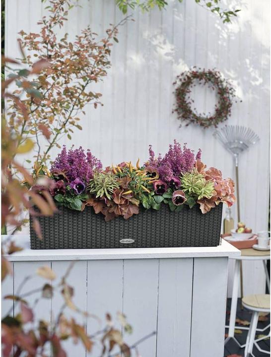 Produktbild Lechuza Balconera Cottage (19 cm)