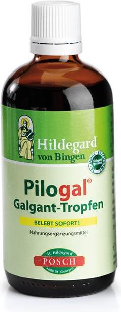 Hildegard Posch Pilogal Galgant Tropfen, 100 ml (1 Stück, Tropfen, 199 g)