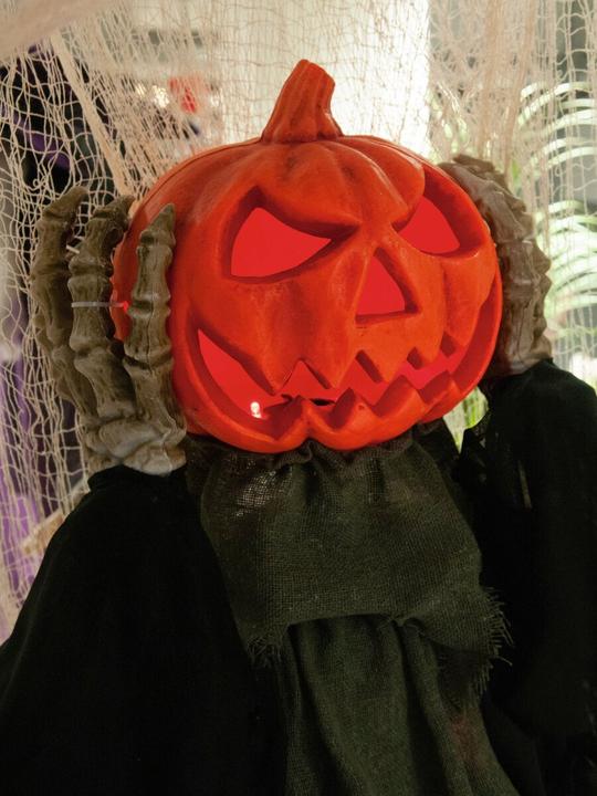 Immagine prodotto Europalms Figura di Halloween POP-UP Zucca, animata 70cm