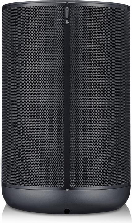 LG WK7 (Assistant Google)