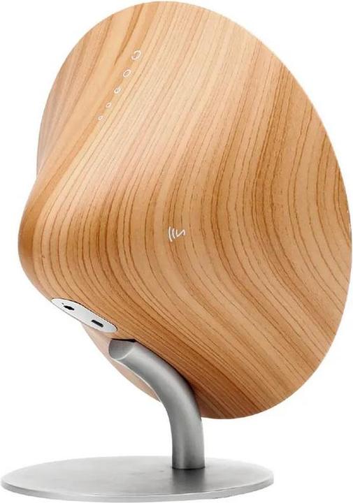 Actual product image PhoneLook Stylish Speaker 5W Wireless Bluetooth Mini Speaker from