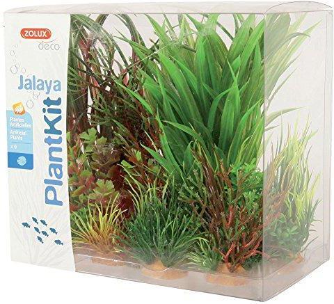 Produktbild Zolux Pflanzendekoration PlantKit Jalaya Modell 3 (352147) (Dekoration, Pflanzen)