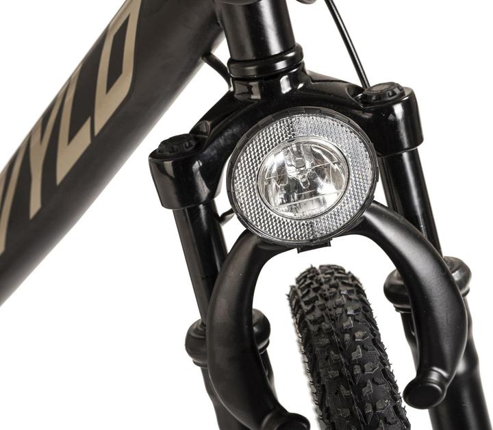 Actual product image Wyld Mountainbike Hardtail ATB Twentyniner 29“ Heist 21 Gänge RH 51 cm (51 cm)