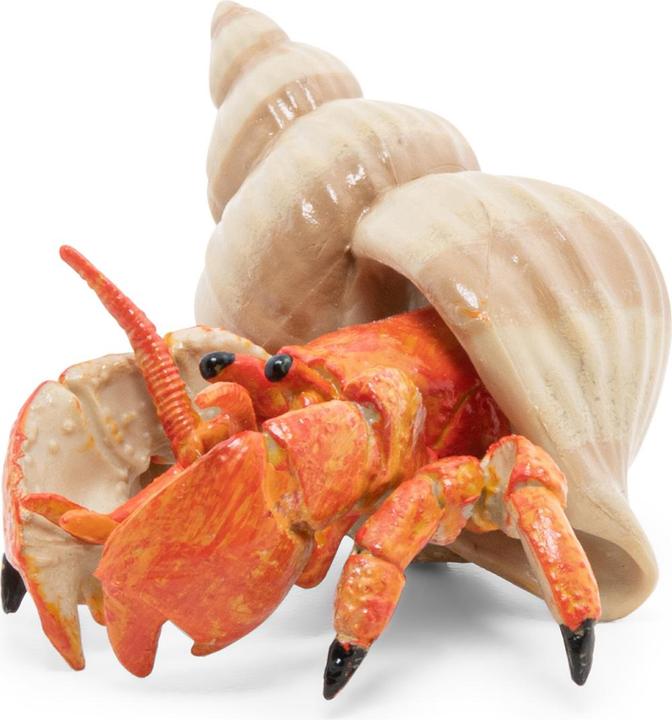 Actual product image Papo Hermit crab