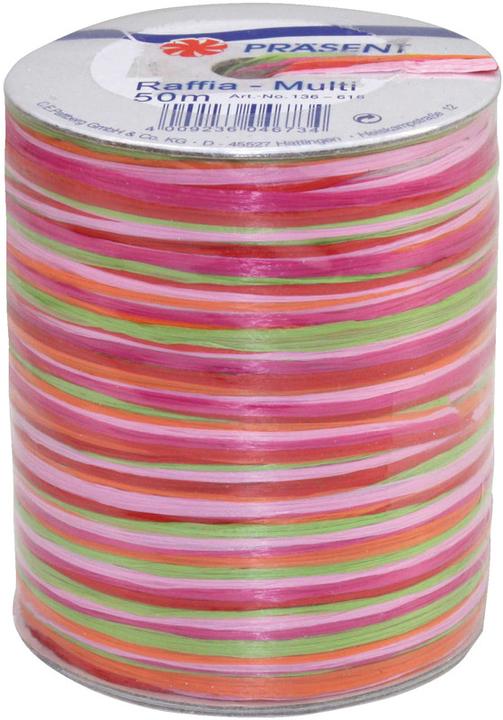 Actual product image Präsent Bast Multi (Gift ribbon, 1 x)