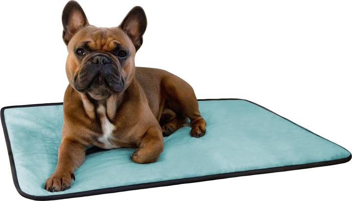 Actual product image Aspero Hanko and Lund Dog Bed and Blanket (Dog)