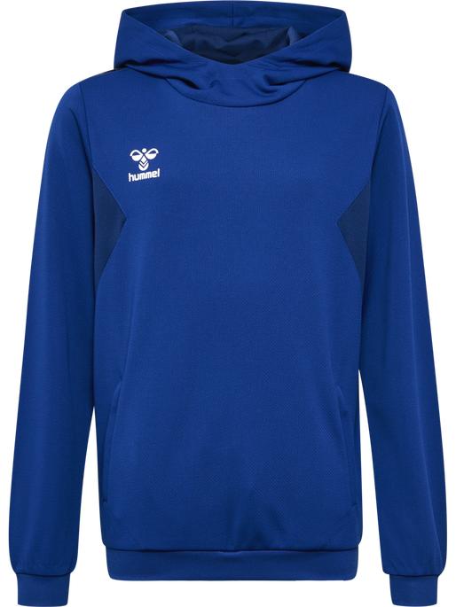 Actual product image hummel Hmlauthentic Pl Hoodie Kids (128)