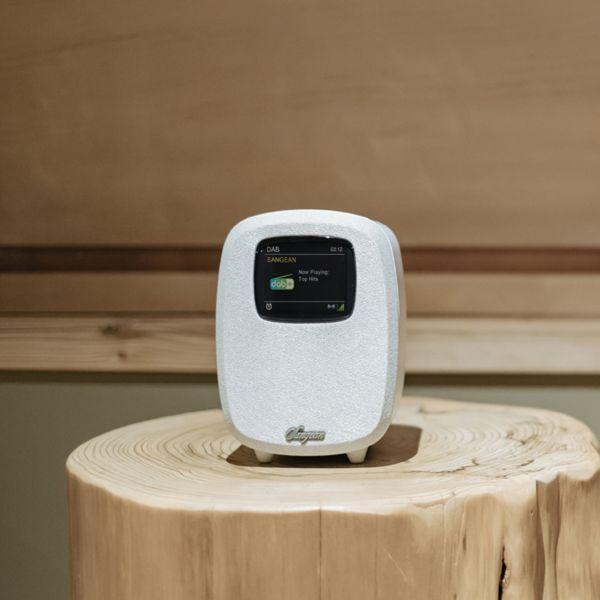 Immagine prodotto Sangean DCR-83 (DAB, FM, Bluetooth)