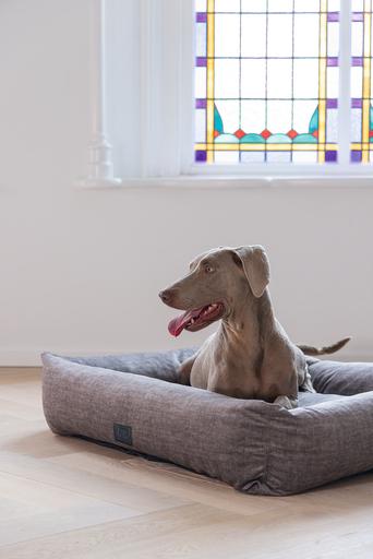 Produktbild Designed by Lotte Unnay (Hund)