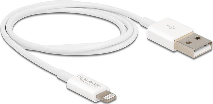 Actual product image Delock USB A – Lightning (0.15 m, USB 2.0)