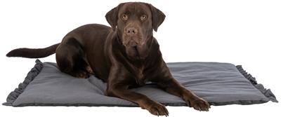 Actual product image Trixie Ligmat Amelie Donkergrijs - 70X50 Cm (Dog)