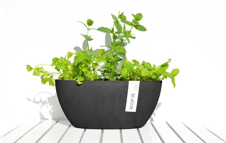 Produktbild Ecopots Sofia (13 cm)