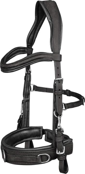 Waldhausen Leather bridle Anatomic