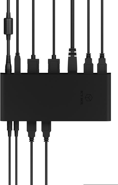 Actual product image Icy Box IB-DK2251AC Multi-Dock (USB-B, 10 Ports)