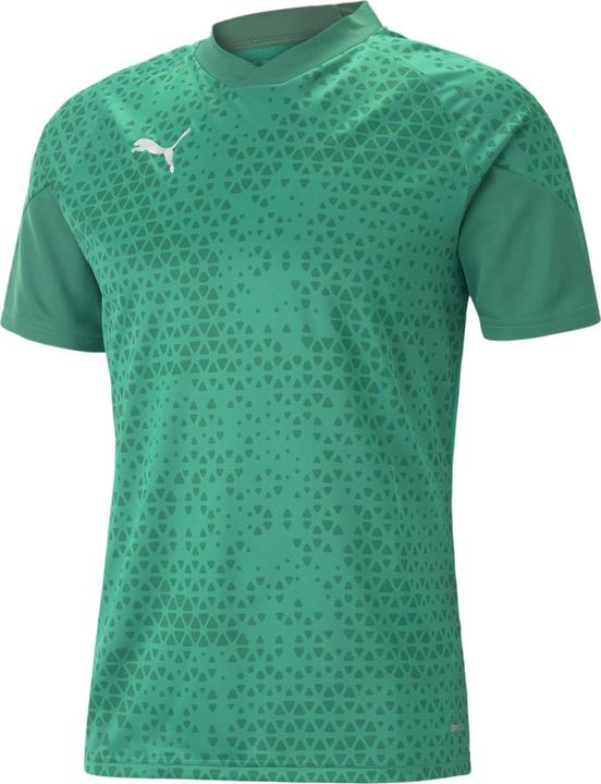 Puma teamCUP Training Jersey