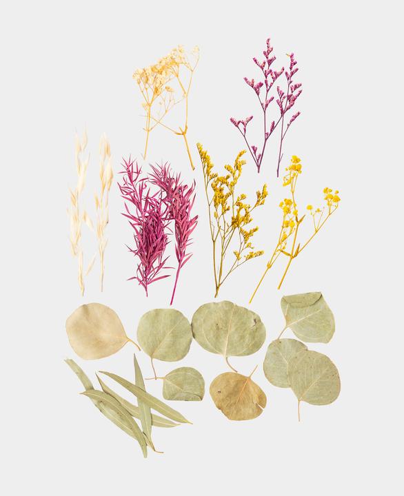 Produktbild I Am Creative Trockenblumenset (Trockenblumen)
