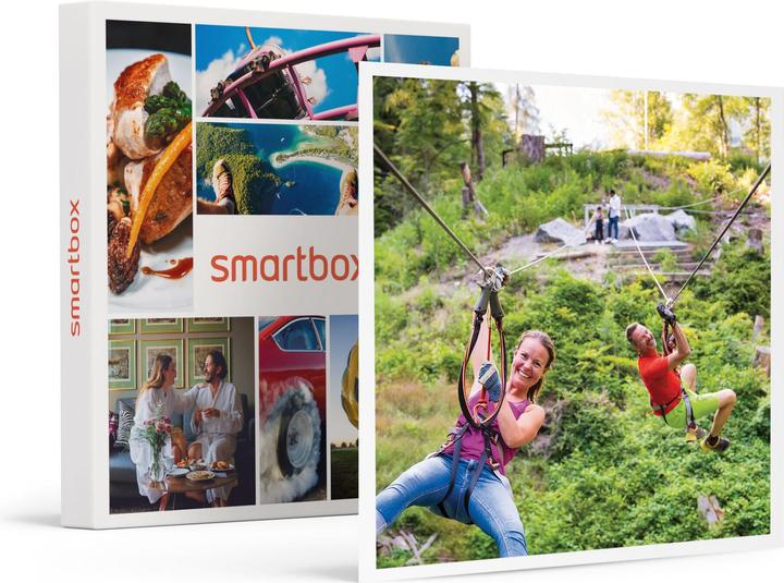 Actual product image Smartbox Plein air activity in Interlaken: access to 9 accrobranche courses for 2 adults with briefing (2 pers.)