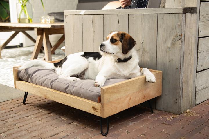 Actual product image Designed by Lotte Turana wooden bed (Dog)