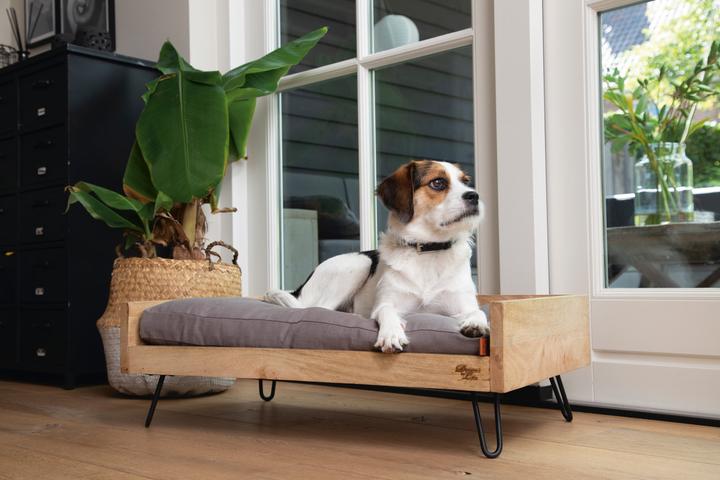 Produktbild Designed by Lotte Holzbett Turana (Hund)