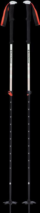 Actual product image Black Diamond Expedition 2 (95 - 145 cm)