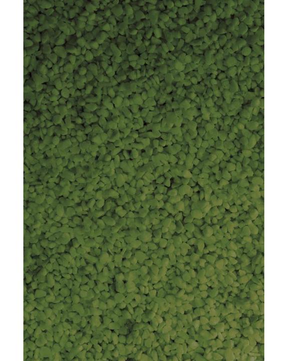 Image du produit Glorex Sable à décorer 480g d'vert