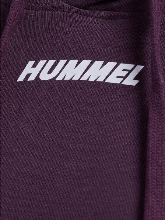 Actual product image hummel Hmlelemental Short Hoodie Woman (XS)